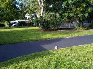 1 St Petersburg Fl Lawn Care Service Lawn Mowing From 19 Best 2020