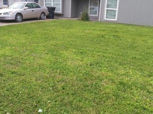 Stafford Va Lawn Care Service Lawn Mowing From 19 Rated Best 2020