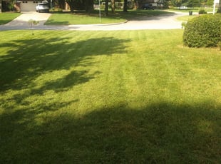 1 Stanley Nc Lawn Care Service Lawn Mowing From 19 Best 2020