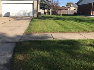 1 Sterling Heights Mi Lawn Care Service Lawn Mowing From 19 Best 2020