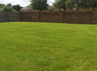 Sterling Va Lawn Care Service Lawn Mowing From 19 Lawnstarter