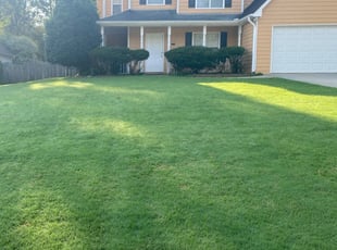 Stockbridge Ga Lawn Care Service Lawn Mowing From 19 Rated Best 2020