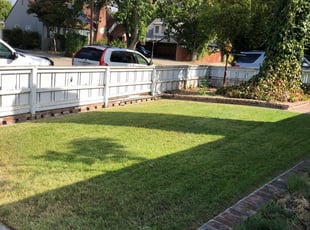 1 Stockton Ca Lawn Care Service Lawn Mowing From 19 Best 2020