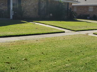 1 Stockton Ca Lawn Care Service Lawn Mowing From 19 Best 2020