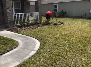 Stockton, CA Lawn Care Service | Lawn Mowing from $19 ...