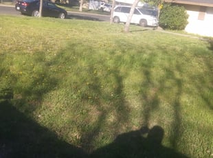 Stockton, CA Lawn Care Service | Lawn Mowing from $19 ...