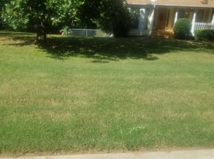 Stratford Ct Landscaping From 29 1 Landscapers Best Of 2020