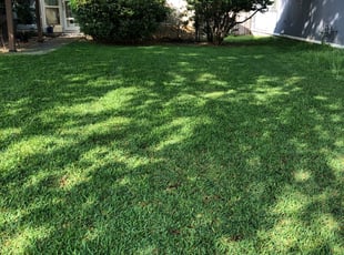 Stratford Ct Lawn Care Service Lawn Mowing From 19 Rated Best 2020