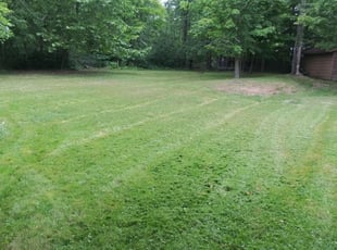Strongsville Oh Lawn Care Service Lawn Mowing From 19 Lawnstarter