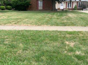 Strongsville Oh Lawn Care Service Lawn Mowing From 19 Lawnstarter