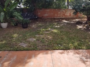 1 Suffolk Va Lawn Care Service Lawn Mowing From 19 Best 2020