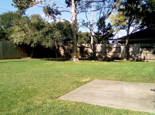 Get Lawn Care Services In Houston From Dmd Lawn Service