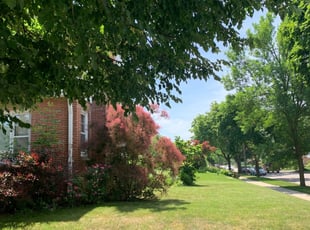 1 Sugar Land Tx Lawn Care Service Lawn Mowing From 19 Best 2020