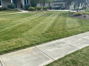 1 Sugar Land Tx Lawn Care Service Lawn Mowing From 19 Best 2020