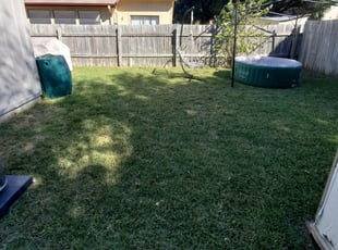 Suitland Md Lawn Care Service Lawn Mowing From 19 Rated Best 2020