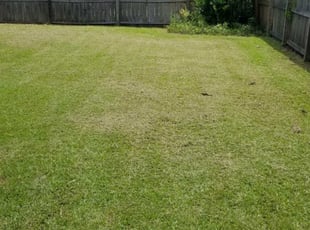 1 Summerville Sc Lawn Care Service Lawn Mowing From 19 Best 2020