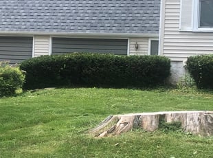 Sun Prairie Wi Lawn Care Service Lawn Mowing From 19 Rated Best 2020