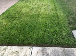 1 Sunnyvale Ca Lawn Care Service Lawn Mowing From 19 Best 2020
