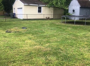 Suwanee Ga Lawn Care Service Lawn Mowing From 19 Lawnstarter