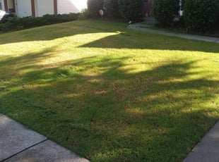 Suwanee Ga Lawn Care Service Lawn Mowing From 19 Lawnstarter