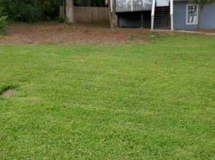 Suwanee Ga Lawn Care Service Lawn Mowing From 19 Lawnstarter
