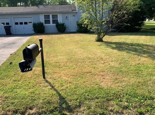 Syracuse Ny Lawn Care Service Lawn Mowing From 19 Lawnstarter
