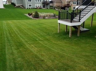 1 Syracuse Ut Lawn Care Service Lawn Mowing From 19 Best 2020