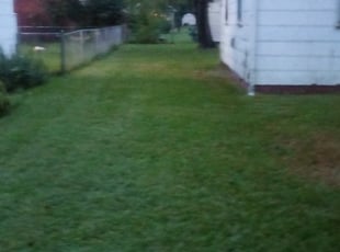 Tacoma Wa Landscaping From 29 1 Landscapers Best Of 2020