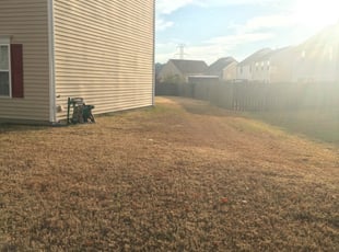Tacoma Wa Lawn Care Service Lawn Mowing From 19 Rated Best 2020