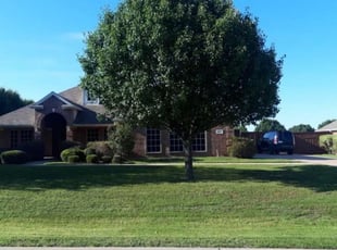 Best fall trees, Zionsville IN