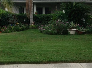 Tampa Fl Lawn Care Service Lawn Mowing From 19 Lawnstarter