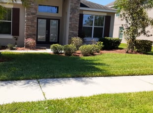 Tampa Fl Lawn Care Service Lawn Mowing From 19 Lawnstarter
