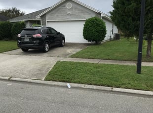 1 Tavares Fl Lawn Care Service Lawn Mowing From 19 Best 2020