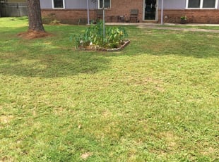 Taylor Mi Lawn Care Service Lawn Mowing From 19 Rated Best 2020