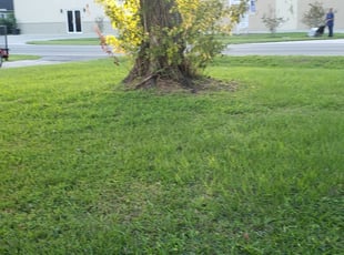 1 Texas City Tx Lawn Care Service Lawn Mowing From 19 Best 2020