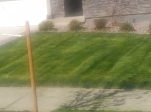 Thornton Co Lawn Care Service Lawn Mowing From 19 Rated Best 2020