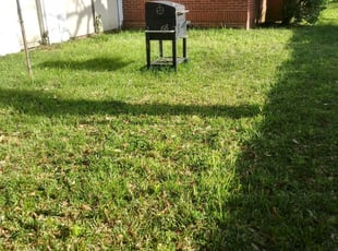 Toledo, OH Lawn Care Service | Lawn Mowing from $19 ...