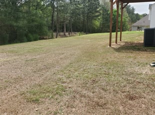 1 Tomball Tx Lawn Care Service Lawn Mowing From 19 Best 2020
