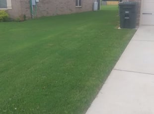 1 Tomball Tx Lawn Care Service Lawn Mowing From 19 Best 2020