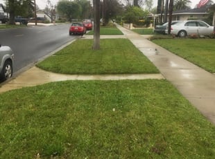 1 Towson Md Lawn Care Service Lawn Mowing From 19 Best 2020