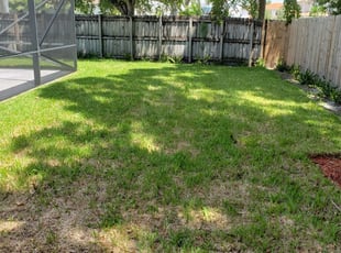 Trenton Mi Lawn Care Service Lawn Mowing From 19 Rated Best 2020