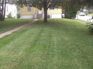 Troy Mi Lawn Care Service Lawn Mowing From 19 Rated Best 2020