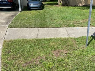 Troy, NY Lawn Care Service | Lawn Mowing from $19 | Rated ...