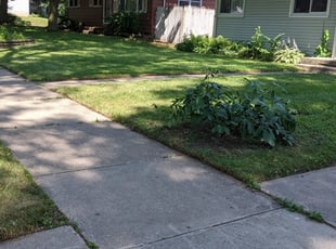 Troy, NY Lawn Care Service | Lawn Mowing from $19 | Rated ...