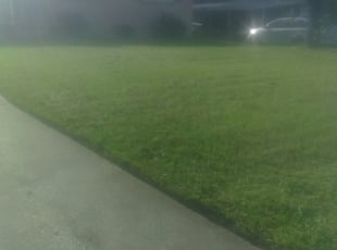 Troy, NY Lawn Care Service | Lawn Mowing from $19 | Rated ...
