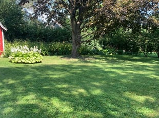 Tulsa Ok Lawn Care Service Lawn Mowing From 19 Rated Best 2020