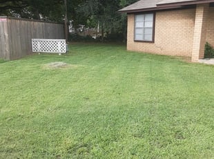 Tulsa Ok Lawn Care Service Lawn Mowing From 19 Rated Best 2020