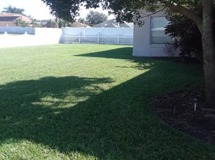 1 Uniontown Pa Lawn Care Service Lawn Mowing From 19 Best 2020