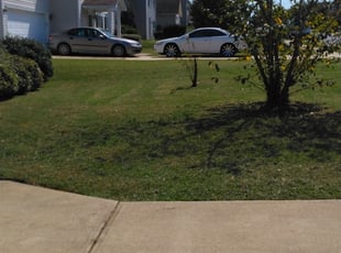 7 Best Lawn Care Services in Universal City, TX 2020 ...