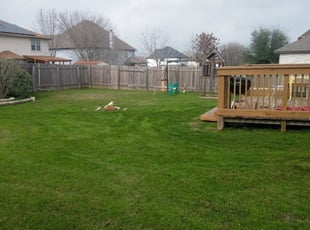 Universal City Tx Lawn Care Service Lawn Mowing From 19 Rated Best 2020